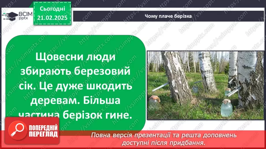 №0071 - Як почуваються рослини навесні12