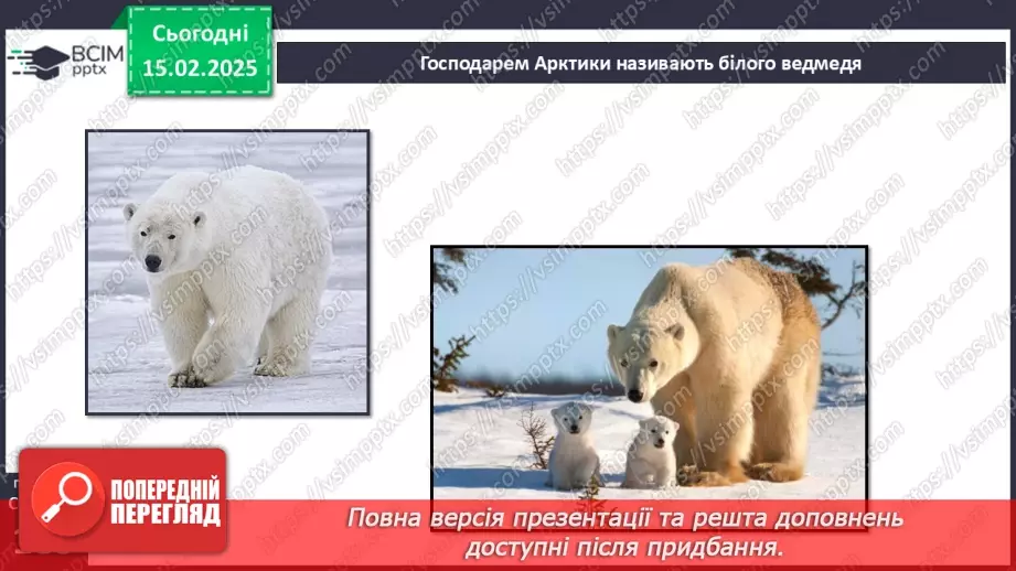 №46 - Природні зони Північної Америки. Арктичні пустелі. Тундра. Ліси помірного поясу.6