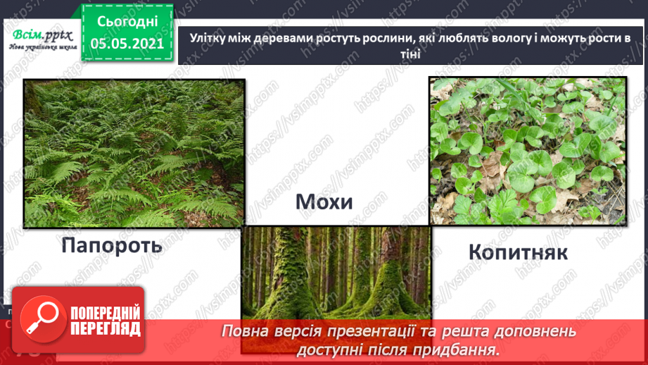№050 - Природні угруповання. Природне угруповання — ліс.13
