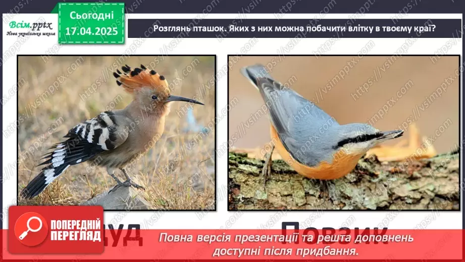 №0093 - Які турботи у тварин улітку4