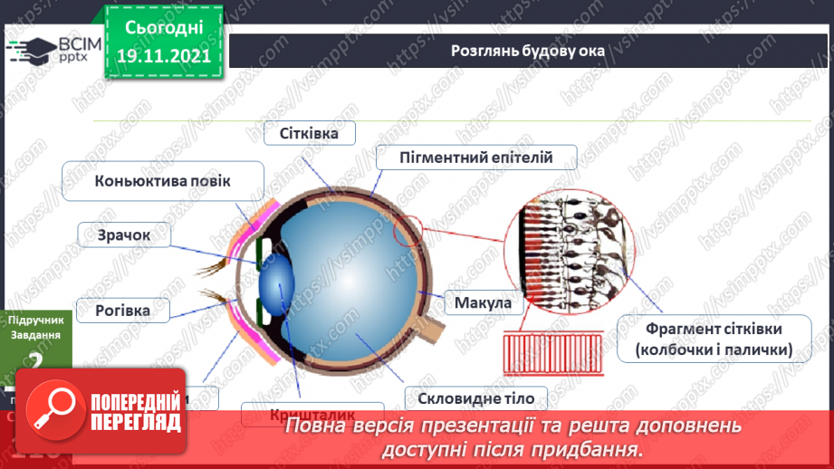 №038 - Як працює око?7 №038 - Як працює око?7