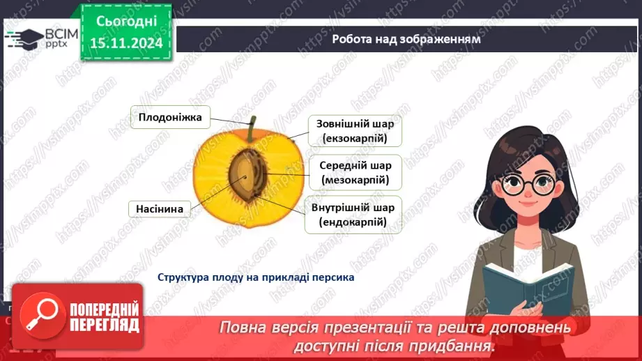 №34 - Квіткові. Насінина і плід. Поширення плодів і насінин.14 №34 - Квіткові. Насінина і плід. Поширення плодів і насінин.14