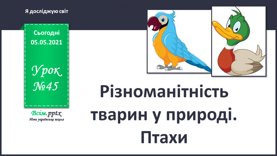 №045 - Різноманітність тварин у природі. Птахи0