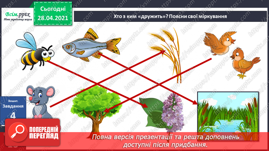 №014 - Які умови необхідні організмам для життя?26