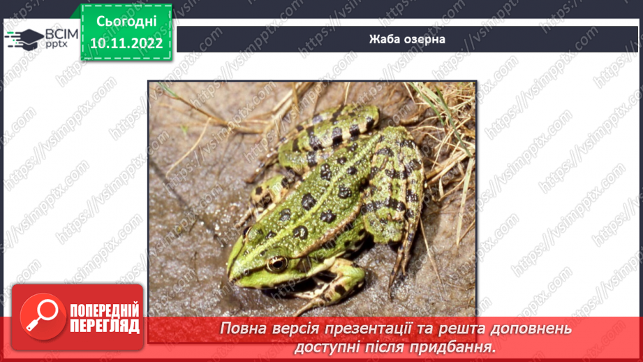 №038 - Риби, земноводні та плазуни.14 №038 - Риби, земноводні та плазуни.14