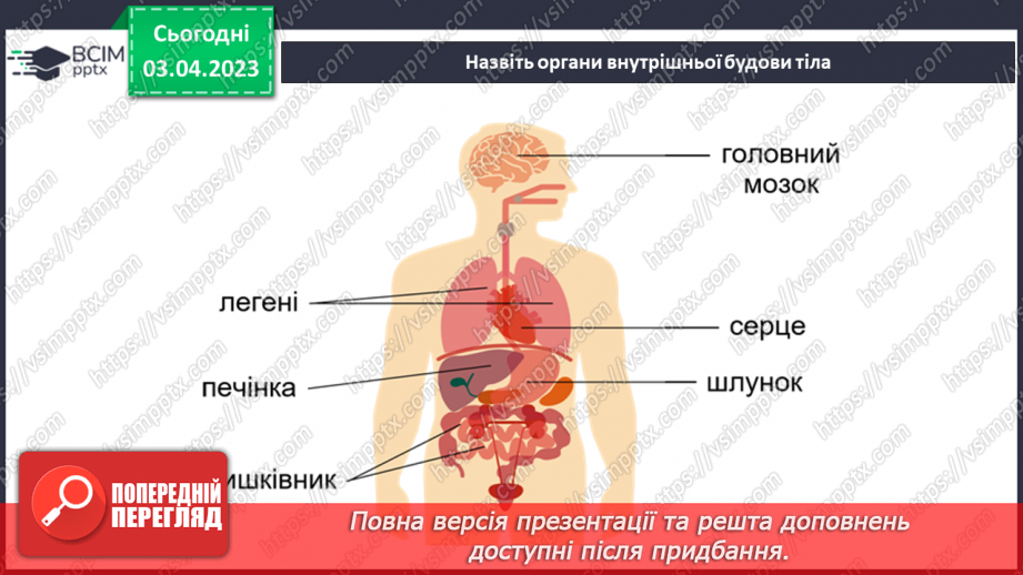 №59 - Узагальнення розділу «Пізнаємо організм людини в середовищі його існування». Самооцінювання навчальних результатів теми.4