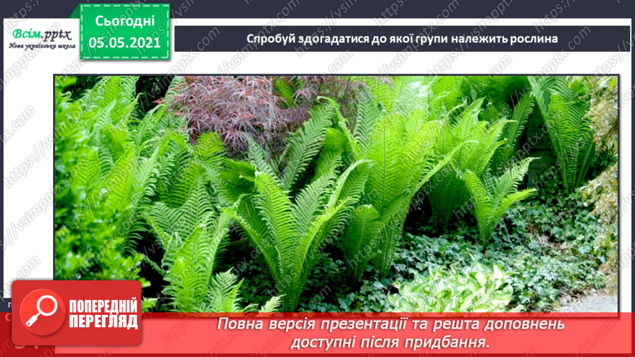 №031 - Організми, які тебе оточують.18
