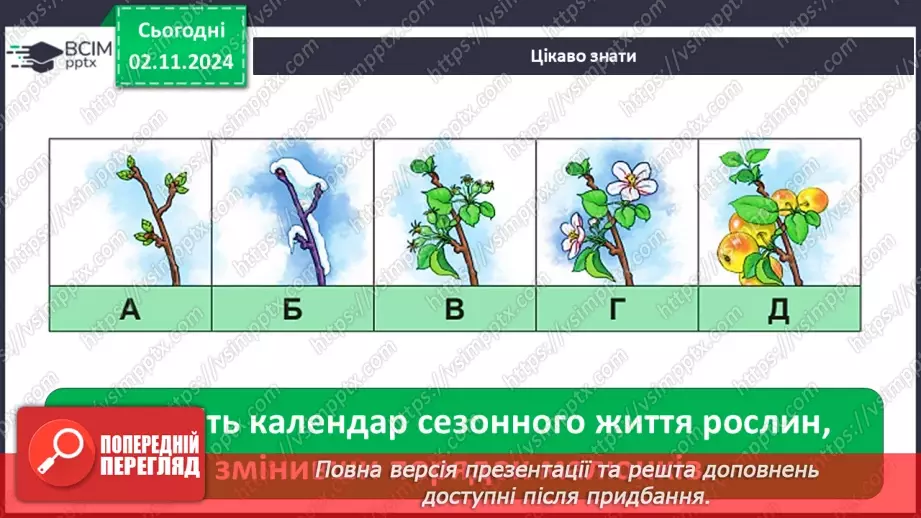 №0032 - Як рослини готуються до зими21 №0032 - Як рослини готуються до зими21