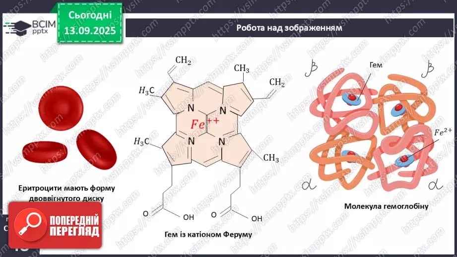 №011 - Кров. Плазма крові. Еритроцити. Групи крові17 №011 - Кров. Плазма крові. Еритроцити. Групи крові17