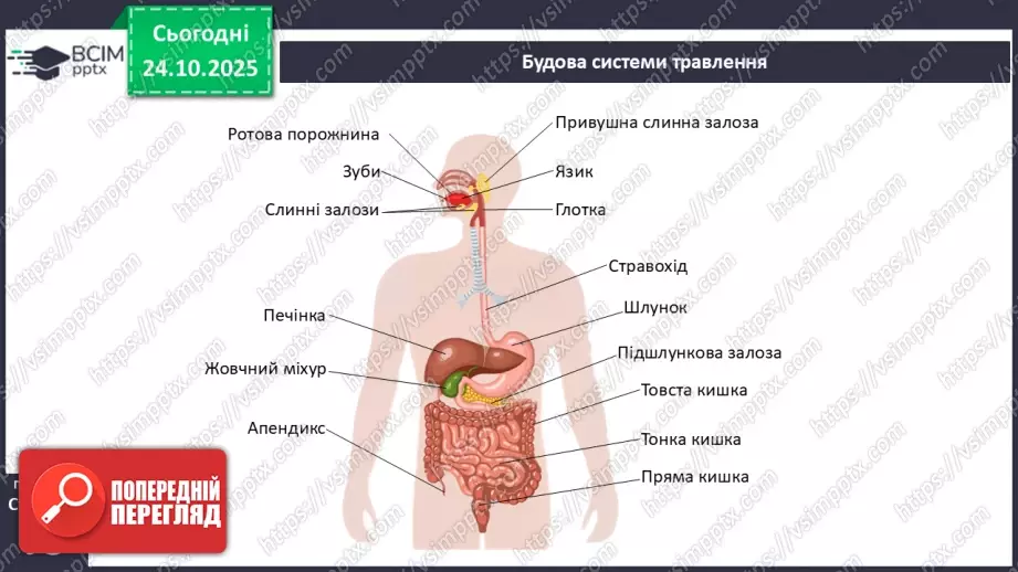 №10 - Харчування та здоров'я.3 №10 - Харчування та здоров'я.3