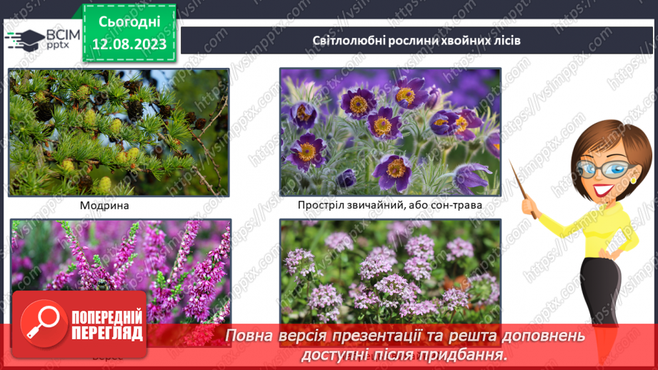 №39 - Види лісів.7 №39 - Види лісів.7