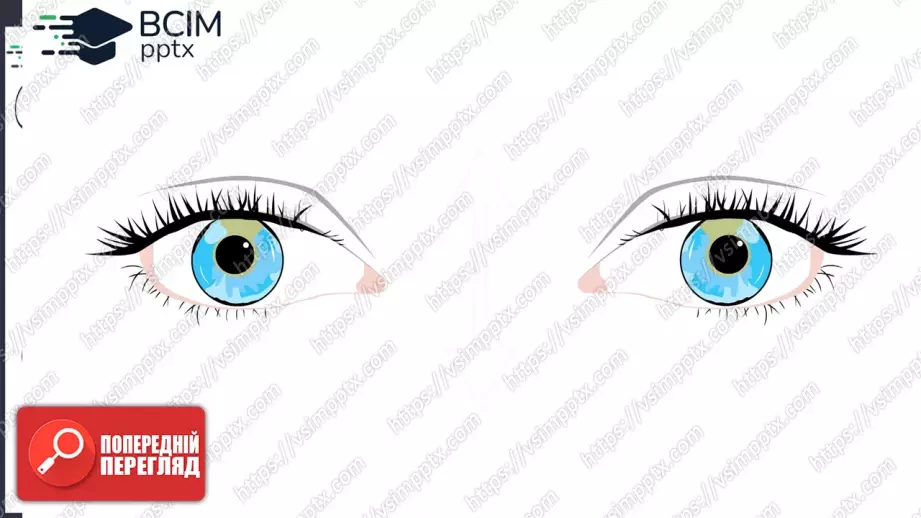 №005 - Інструктаж з БЖД. Виконання файлів програмного коду.17 №005 - Інструктаж з БЖД. Виконання файлів програмного коду.17