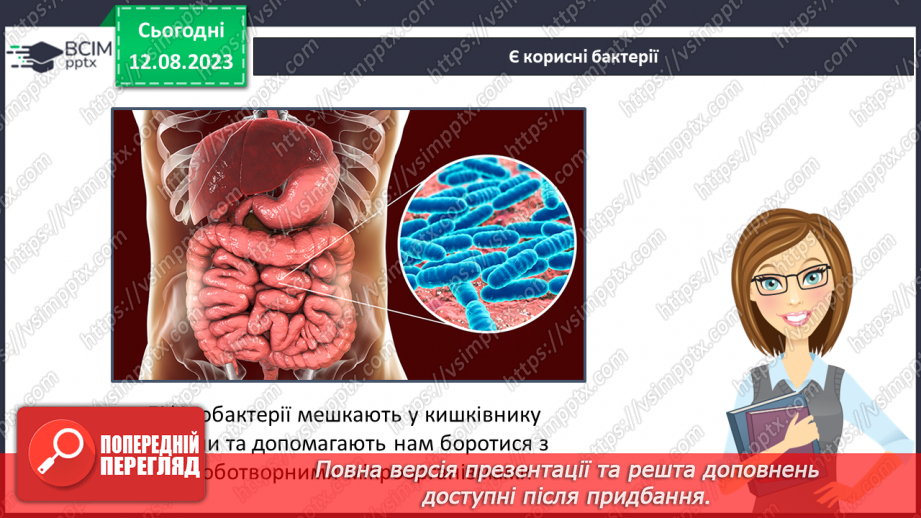 №11 - Різноманітність організмів: Бактерії та Гриби.13