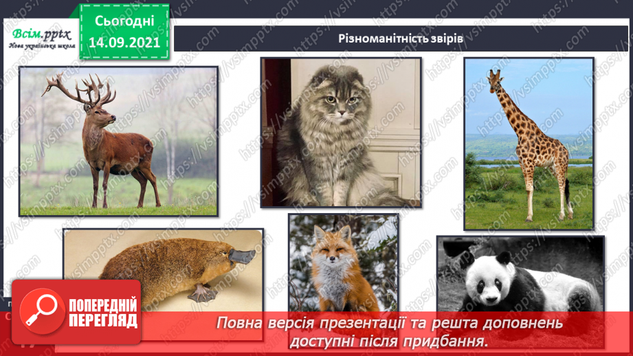 №029 - Ми всі різні: звичаї і традиції8 №029 - Ми всі різні: звичаї і традиції8