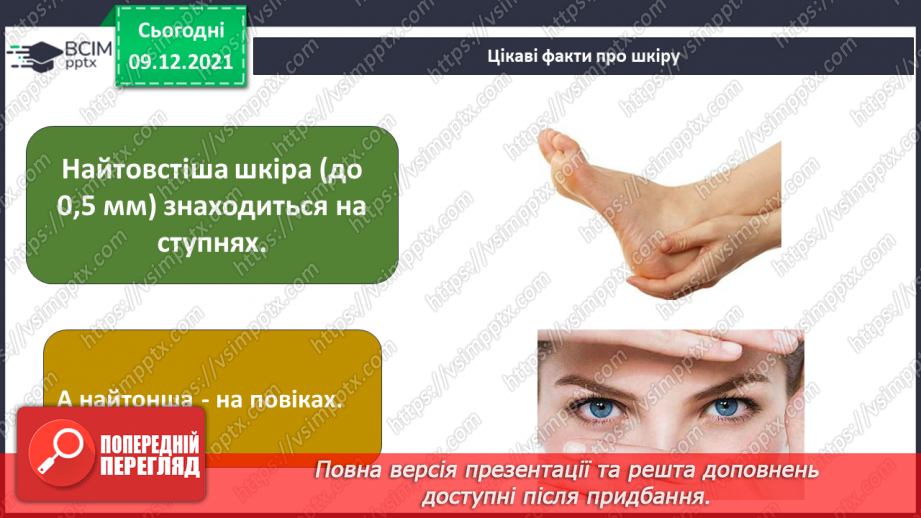 №047-48 - Для чого людині шкіра? Чи робить нас різними колір шкіри?6 №047-48 - Для чого людині шкіра? Чи робить нас різними колір шкіри?6