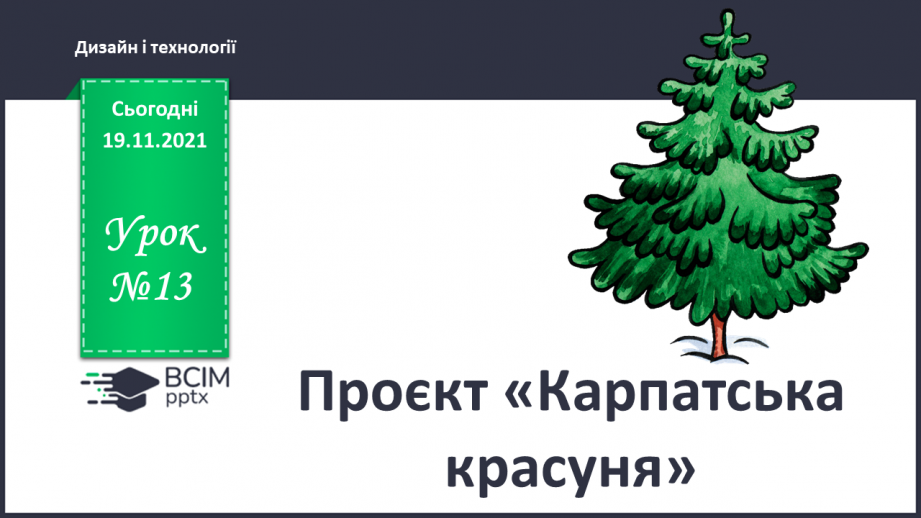 №13 - Проєкт «Карпатська красуня»0 №13 - Проєкт «Карпатська красуня»0