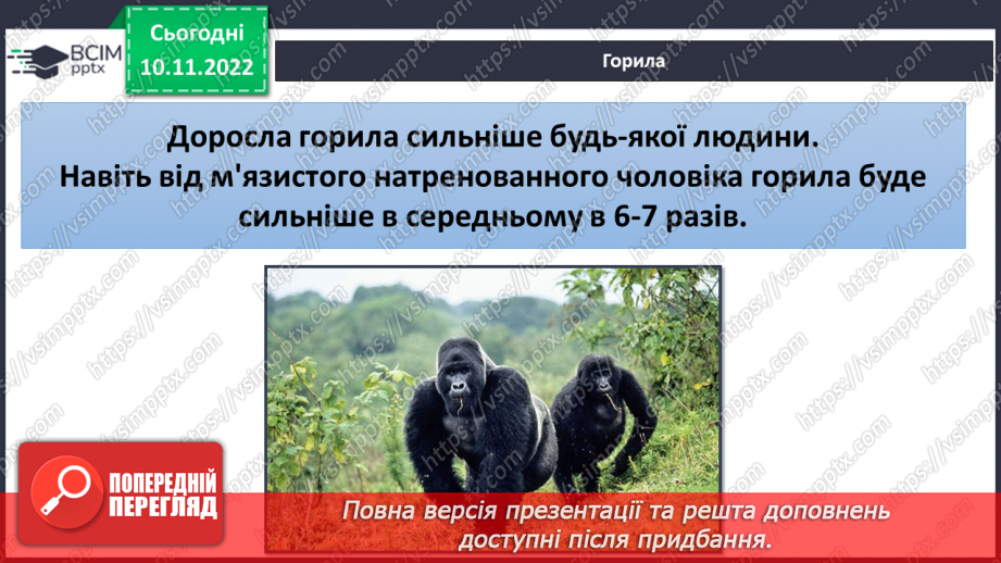 №037 - Найсильніші тварини.13