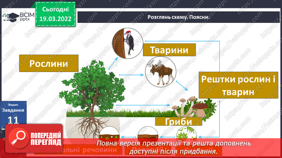 №078 - Природні зони України. Мішані та широколисті ліси.34 №078 - Природні зони України. Мішані та широколисті ліси.34