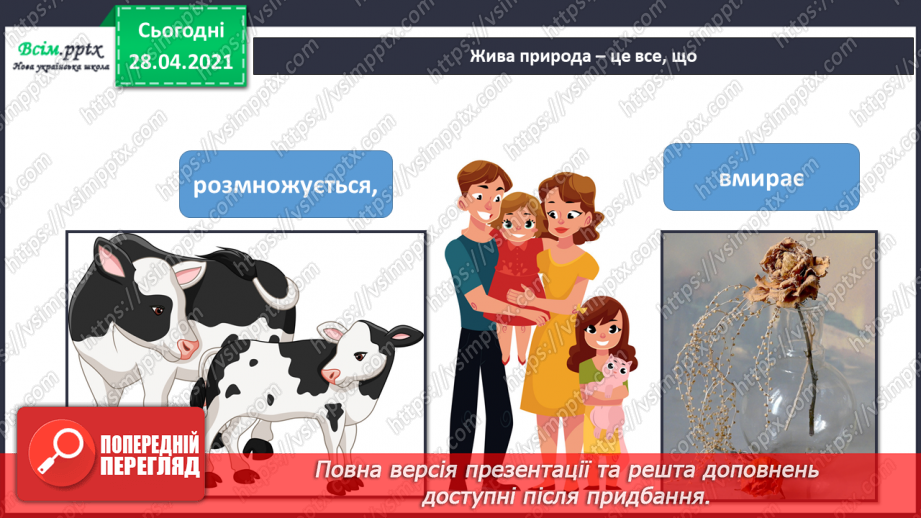 №010 - Чи можна жити без природи? Нежива і жива природа14