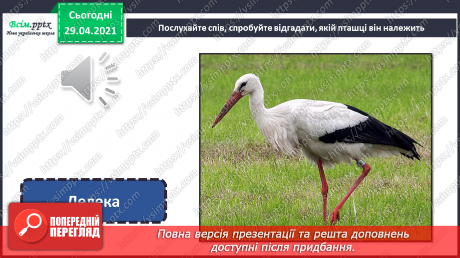 №10 - Пташині турботи. Створення композиції «Пташине життя взимку» (матеріали за вибором)11