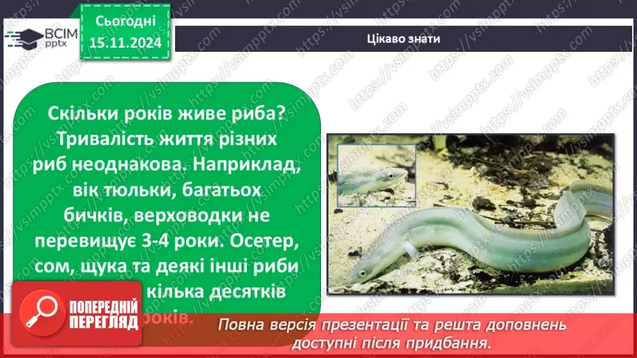 №0035 - Як риби готуються до зими14 №0035 - Як риби готуються до зими14