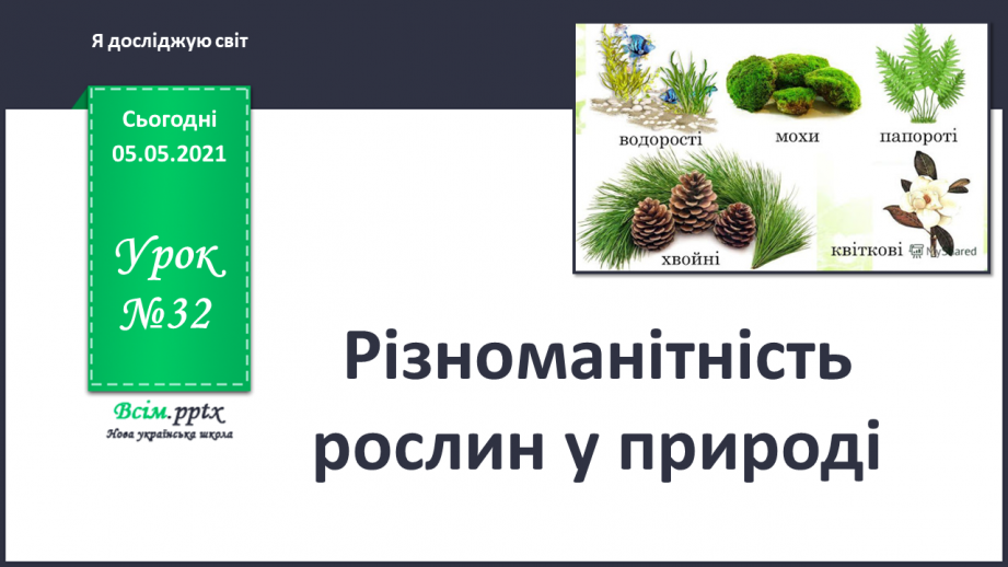 №032 - Різноманітність рослин у природі0