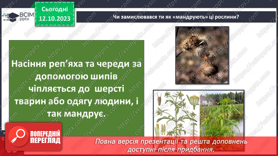 №022 - Плоди і насіння рослин8 №022 - Плоди і насіння рослин8