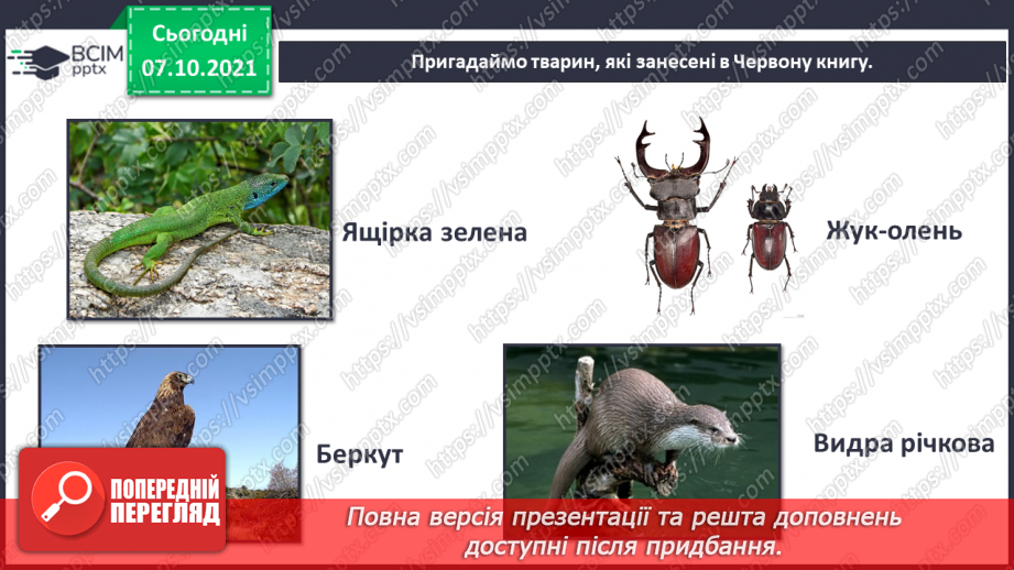 №022-23 - Червона книга України. Як мої сьогоднішні дії впливають на моє майбутнє?7 №022-23 - Червона книга України. Як мої сьогоднішні дії впливають на моє майбутнє?7