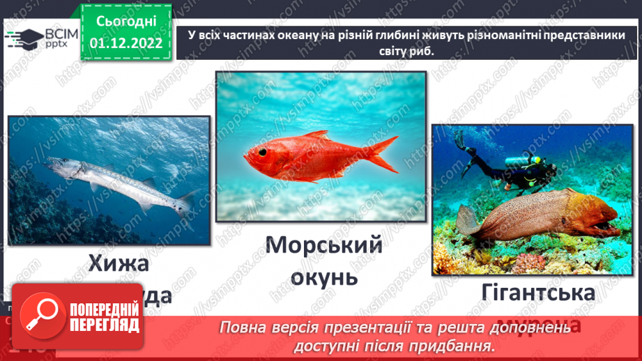 №048 - Мешканці океанів та прісних водойм.8