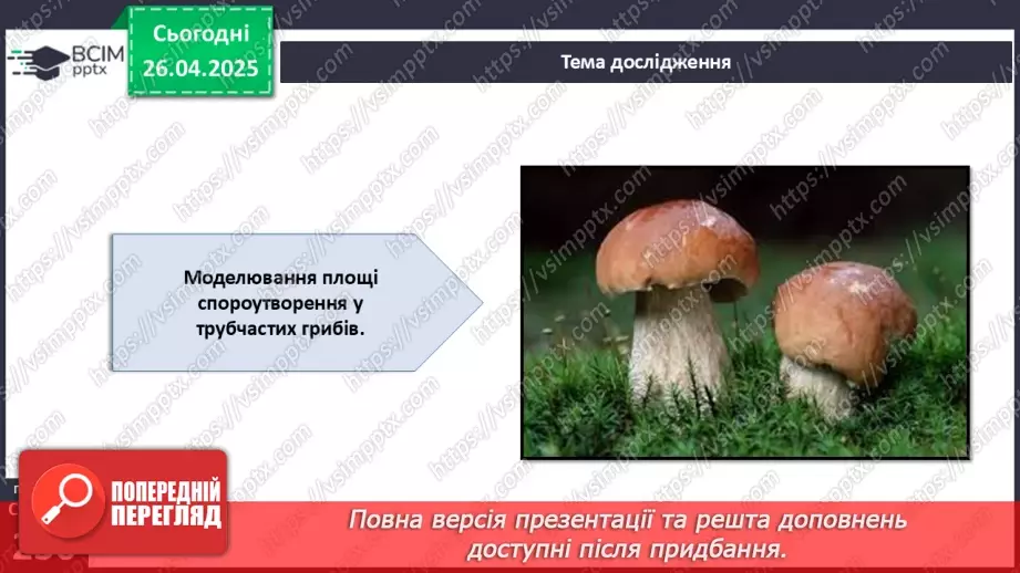 №80 - Узагальнювальні дослідницькі завдання.15 №80 - Узагальнювальні дослідницькі завдання.15