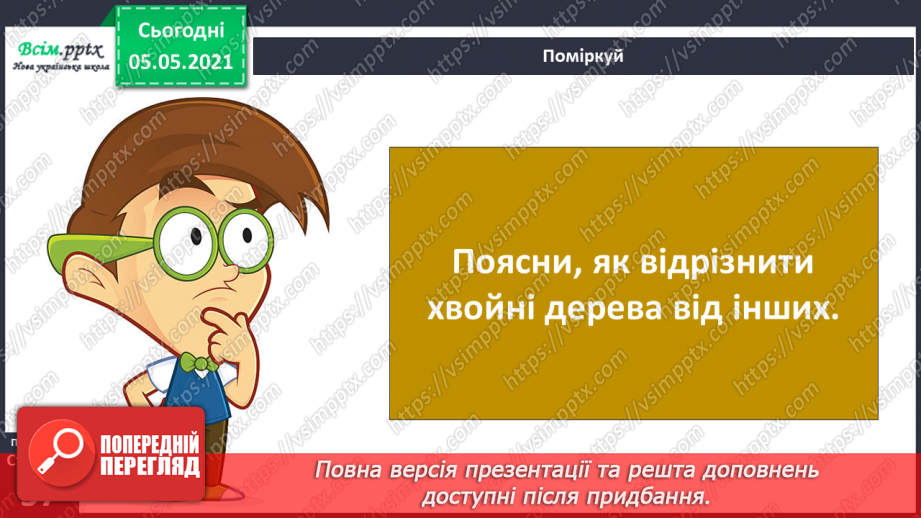 №035 - Хвойні рослини.7 №035 - Хвойні рослини.7