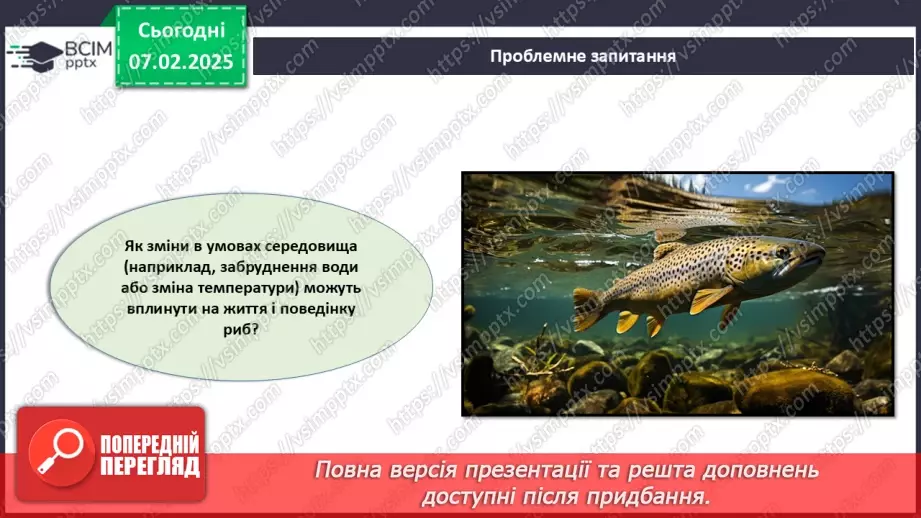 №60 - Риби (продовження).21 №60 - Риби (продовження).21