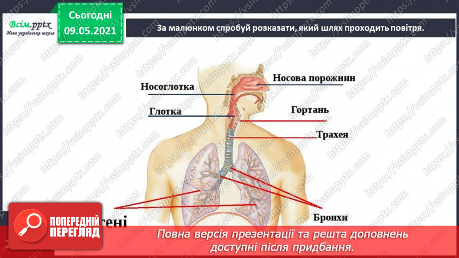 №090 - Для чого потрібне дихання?13 №090 - Для чого потрібне дихання?13