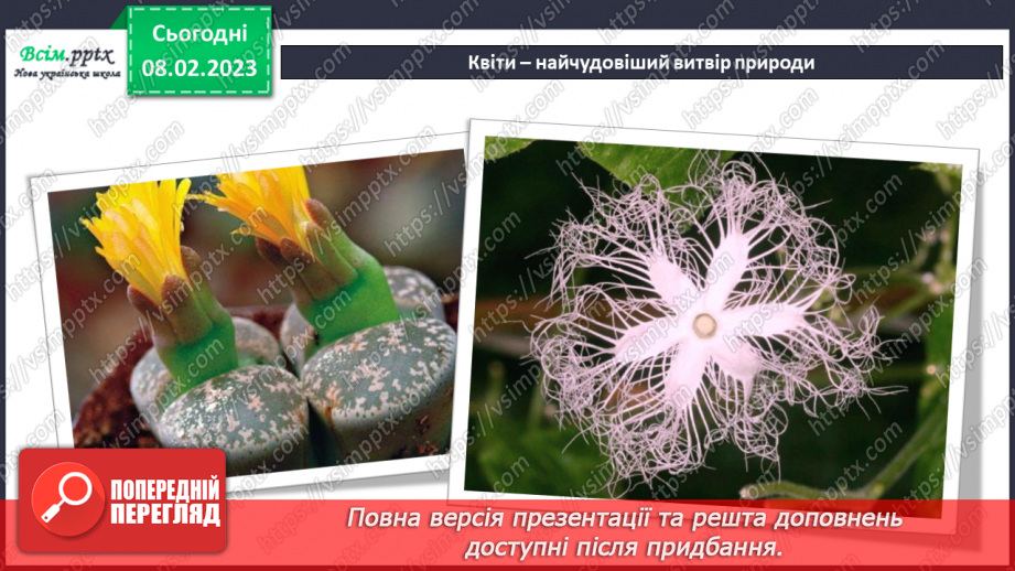 №23 - Виготовлення квітки за зразком чи власним задумом (гофрований папір)5 №23 - Виготовлення квітки за зразком чи власним задумом (гофрований папір)5