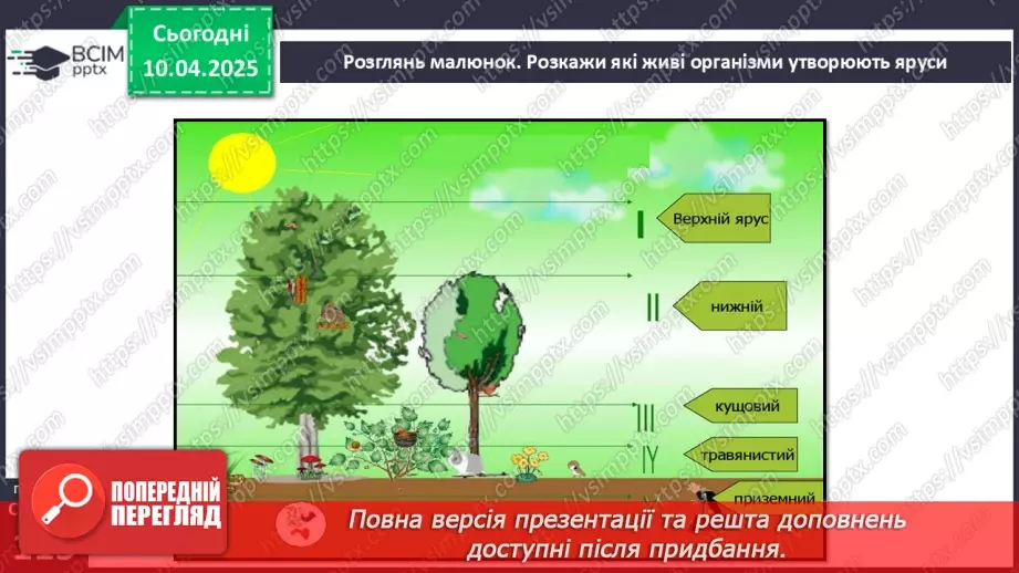 №089 - Ліс. ст.114-1169