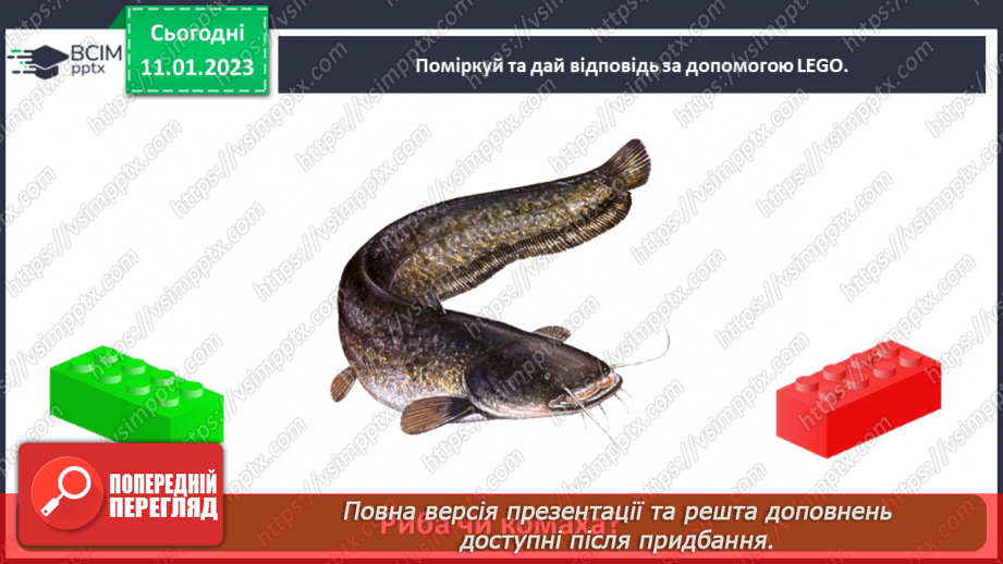 №0056 - Риби20 №0056 - Риби20