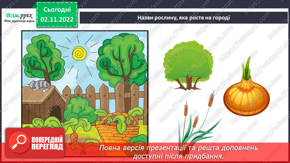 №0035 - Які бувають рослини? Де вони ростуть?19