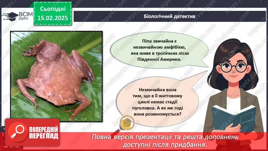 №61 - Амфібії та Рептилії.6