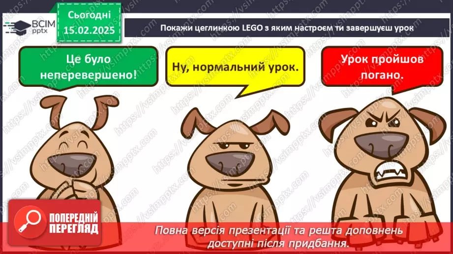 №61 - Амфібії та Рептилії.33