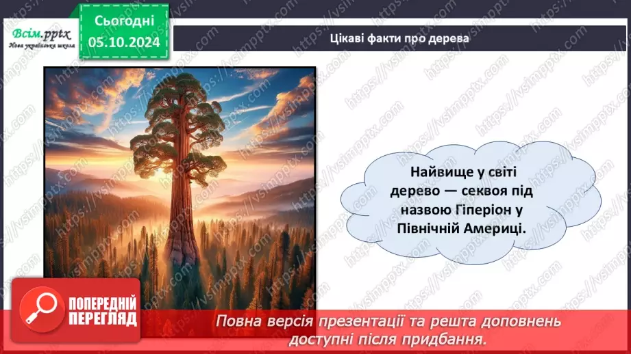 №07 - Аплікація з паперу. Проєктна робота «Аплікація рослин, які ростуть на шкільному подвір’ї».17