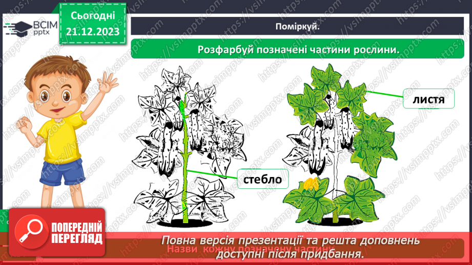 №050 - Яка будова рослин18 №050 - Яка будова рослин18