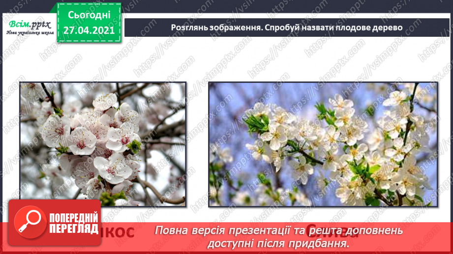 №075 - Як почуваються рослини навесні?27 №075 - Як почуваються рослини навесні?27