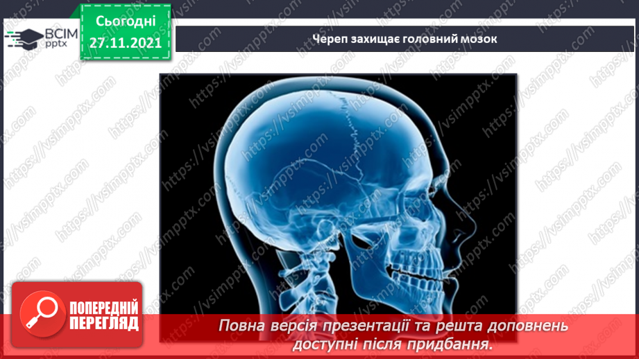 №041 - Що таке опорно-рухова система?10 №041 - Що таке опорно-рухова система?10