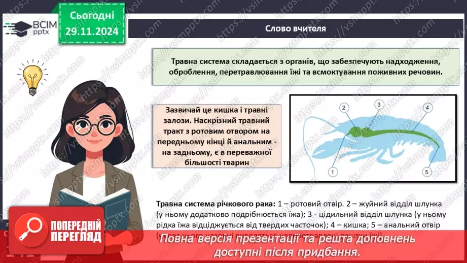 №41 - Органи та системи органів. Регуляція життєвих функцій.8