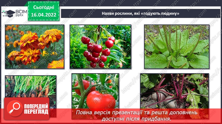 №089 - Рослинництво в рідному краї.22