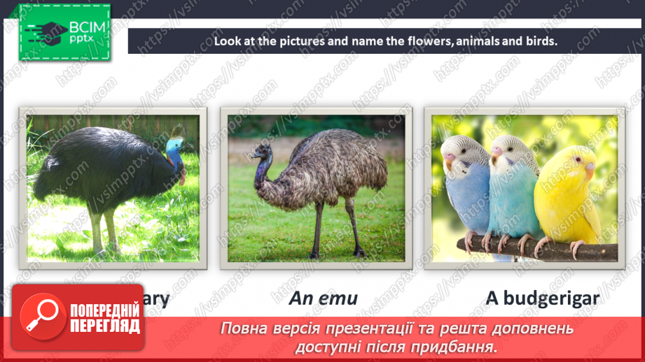 №081 - Fact File. Australia. Wildlife and Wild Flowers of Australia.18 №081 - Fact File. Australia. Wildlife and Wild Flowers of Australia.18