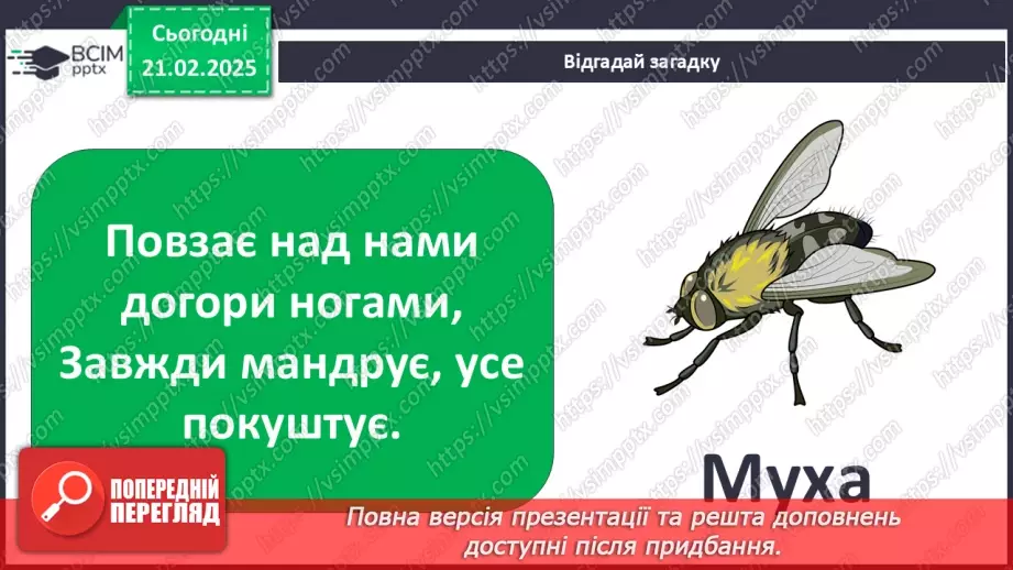 №0072 - Які комахи з’являються першими навесні13