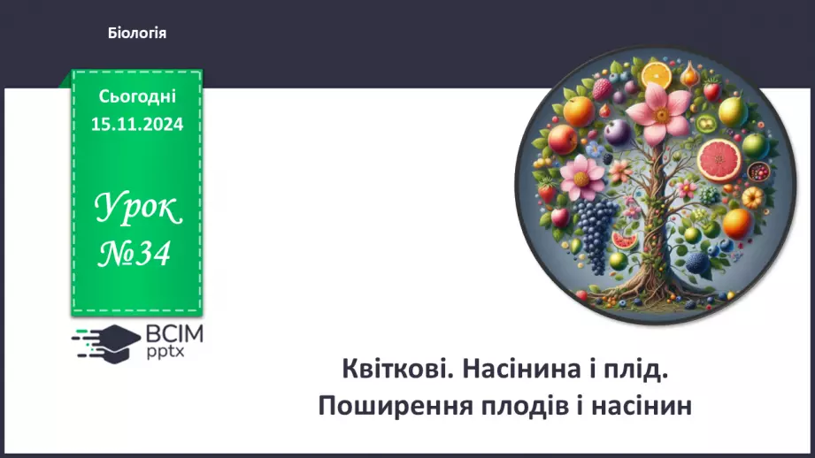 №34 - Квіткові. Насінина і плід. Поширення плодів і насінин.0 №34 - Квіткові. Насінина і плід. Поширення плодів і насінин.0