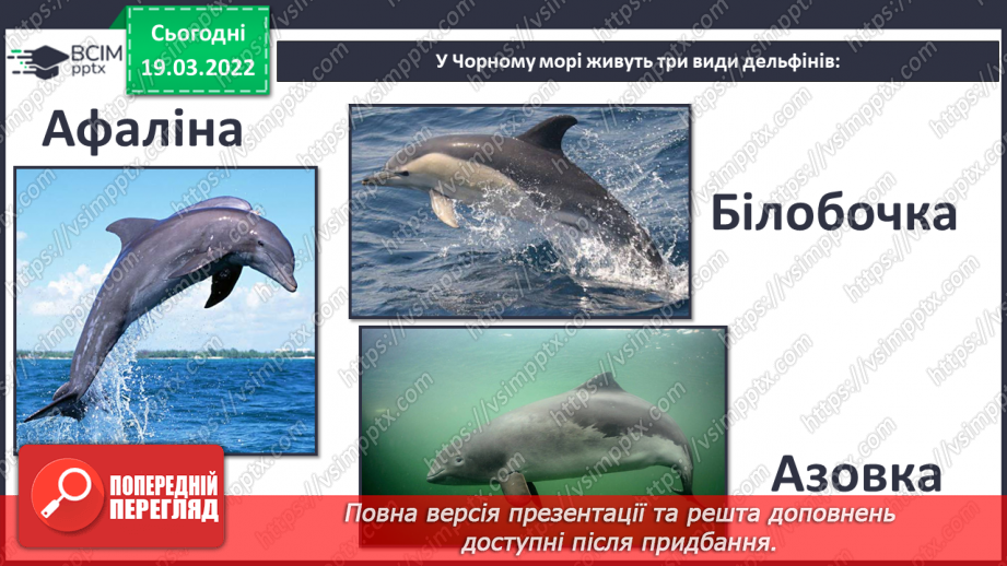№076 - Водойми України19 №076 - Водойми України19