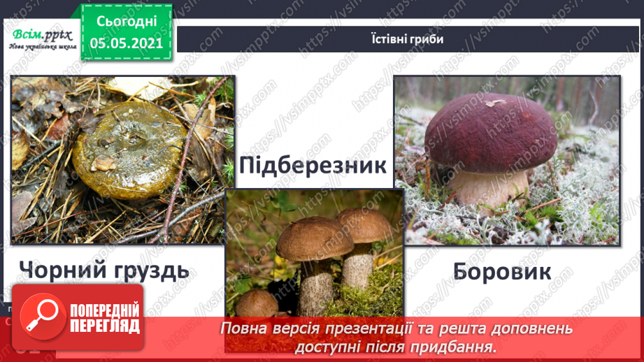 №038 - Їстівні й отруйні гриби8 №038 - Їстівні й отруйні гриби8